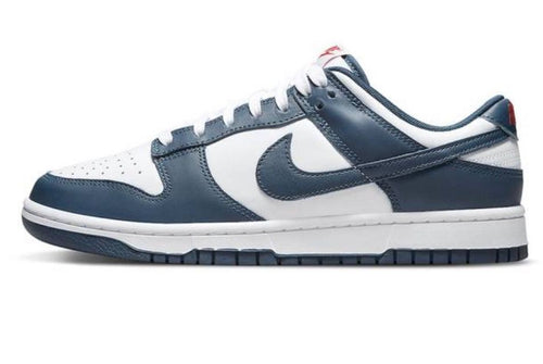 Nike Dunk Low Retro 'Valerian Blue'